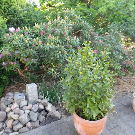 Lägenhet Alte Malztenne Im Herzen Der Schorfheide *