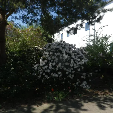 Alte Malztenne Im Herzen Der Schorfheide Apartment