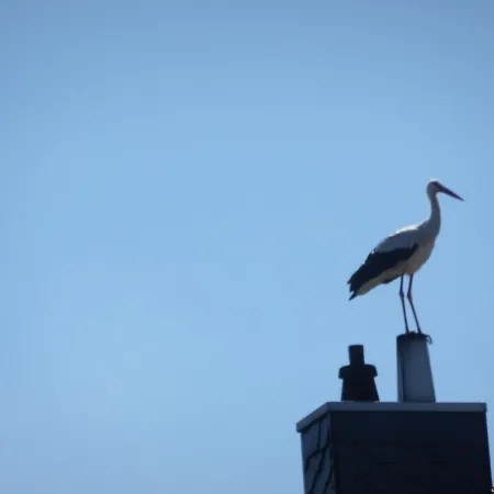 Alte Malztenne Im Herzen Der Schorfheide Lägenhet *