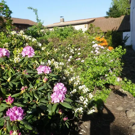 Lägenhet Alte Malztenne Im Herzen Der Schorfheide