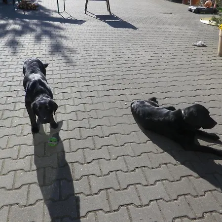 Alte Malztenne Im Herzen Der Schorfheide Lägenhet Golzow (Barnim)