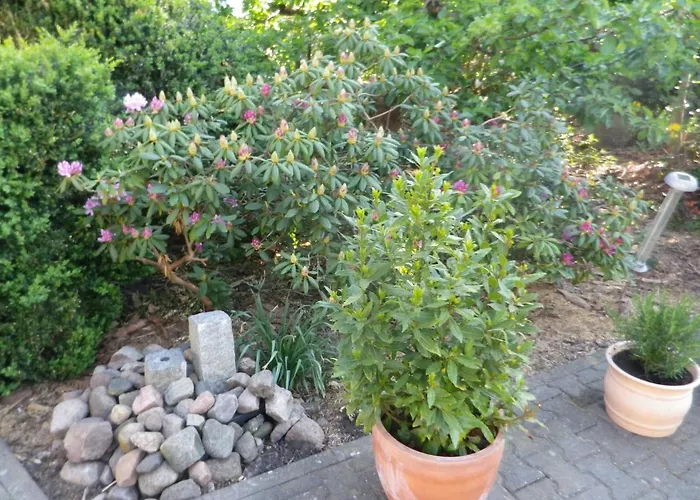 Lägenhet Alte Malztenne Im Herzen Der Schorfheide *