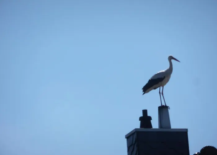 Alte Malztenne Im Herzen Der Schorfheide Apartamento *