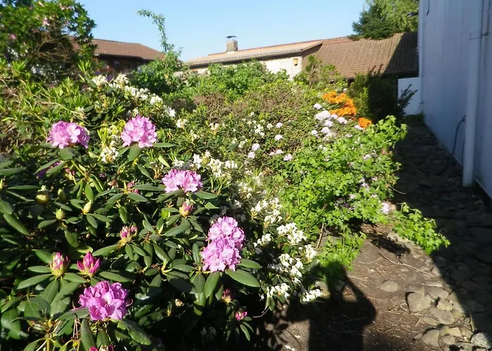 Apartamento Alte Malztenne Im Herzen Der Schorfheide