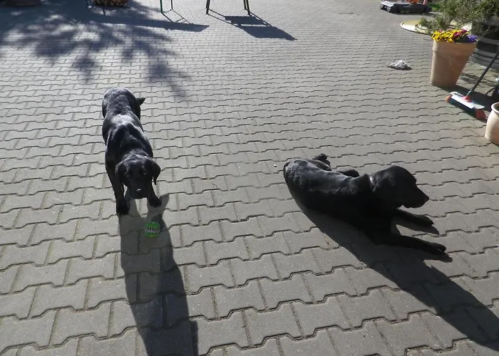 Alte Malztenne Im Herzen Der Schorfheide Lägenhet Golzow (Barnim)